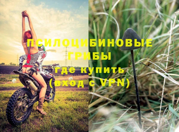 ALPHA PVP Новокубанск