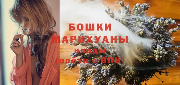 mdpv Новозыбков